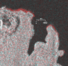 衛星レーダ画像 トゥアング島北部