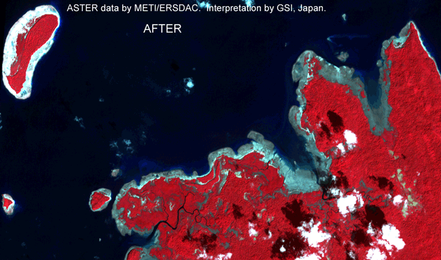 図２　ウェスト島、プライス岬（北アンダマン島北端）のASTER画像（隆起による離水） 