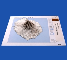 作品：「地図模型：利尻島」国土地理院長賞