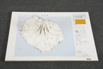 作品名：「地図模型：利尻島」