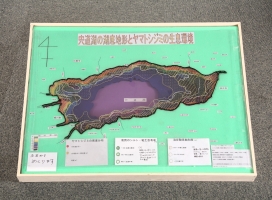 作品：「宍道湖の湖底地形とヤマトシジミの生息環境（模型）」 