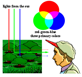 RGB three　primary　colors　image