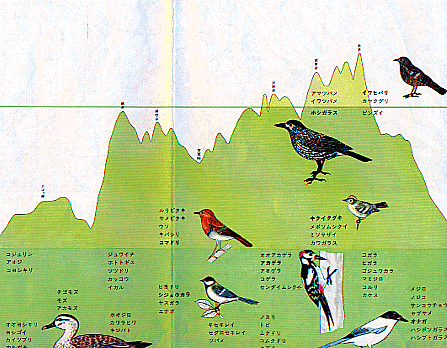 画像：八ケ岳の鳥と花（部分）