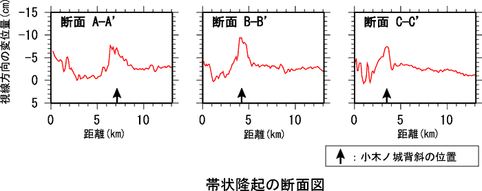 帯状隆起の断面図
