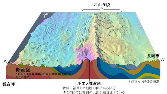 西山丘陵西側斜面の帯状の隆起の概念図1