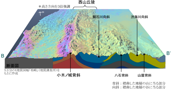 西山丘陵西側斜面の帯状の隆起の概念図2