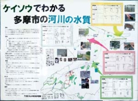 作品：ケイソウでわかる多摩市の河川の水質