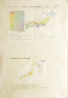 作品：カレールウの一人あたりの年間消費量
