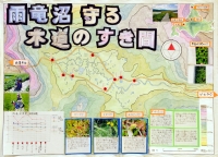 作品：雨竜沼守る木道のすき間