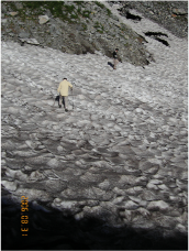 写真：雪渓が一面に広がっています。