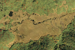 中間湿原の画像