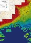 神戸東部のデジタル標高地形図