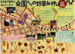 作品：まだまだ自然は残っている！？桑園エリアの野草de押し花MAP 
