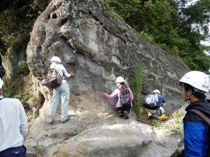 図４．地質学実習。露頭観察。（埼玉県秩父地域）