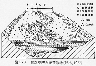 旧河道・自然堤防の模式図
