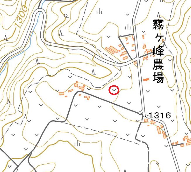 長野県諏訪市付近の地理院地図