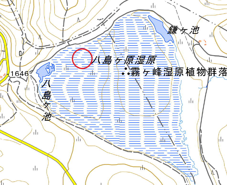 長野県下諏訪町付近の地理院地図