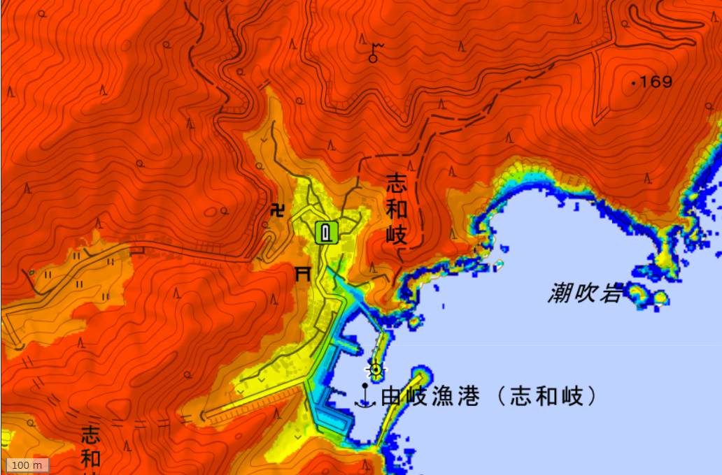 地理院地図の画面