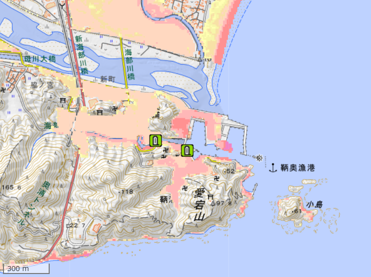 地理院地図の画面